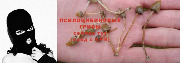 гашик Абдулино