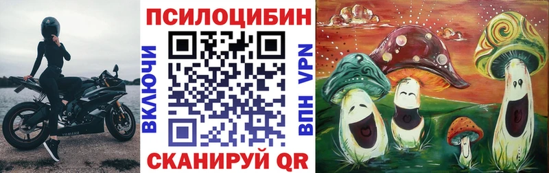 как найти закладки  Терек  Псилоцибиновые грибы Cubensis 